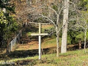 2880 Fairview Road Madisonville, TN 37354 - Photo 2 of 37 a backyard of a house with lots of green space