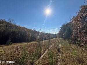 2880 Fairview Road Madisonville, TN 37354 - Photo 35 of 37 a view of a backyard