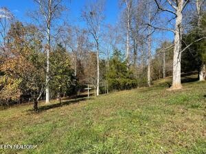 2880 Fairview Road Madisonville, TN 37354 - Photo 5 of 37 a view of outdoor space and yard