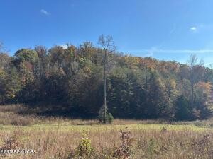 2880 Fairview Road Madisonville, TN 37354 - Photo 7 of 37 a view of a yard