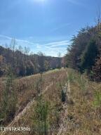 2880 Fairview Road Madisonville, TN 37354 - Photo 10 of 37 a view of a yard