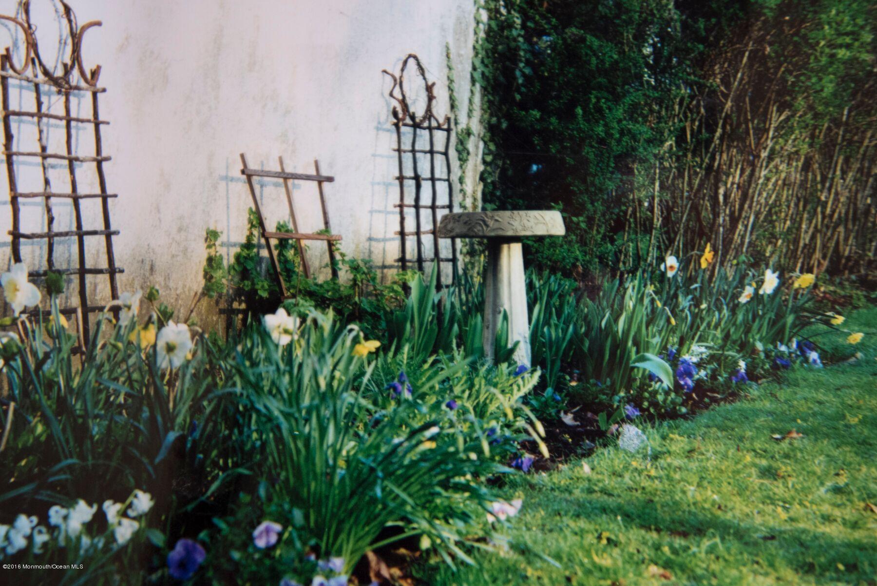 89 Pinckney Road Red Bank, NJ 07701 - Photo 26 of 26 a view of a garden with a flower garden