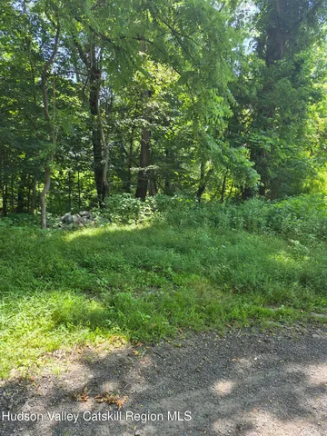 $69,900 | 18 Schoonmaker Street, Unit PRIVATE ROAD, Kingston, NY 12401