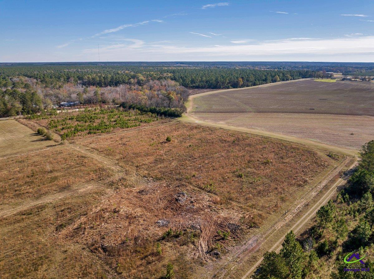245 Pace Road Cochran, GA 31014 - Photo 4 of 18