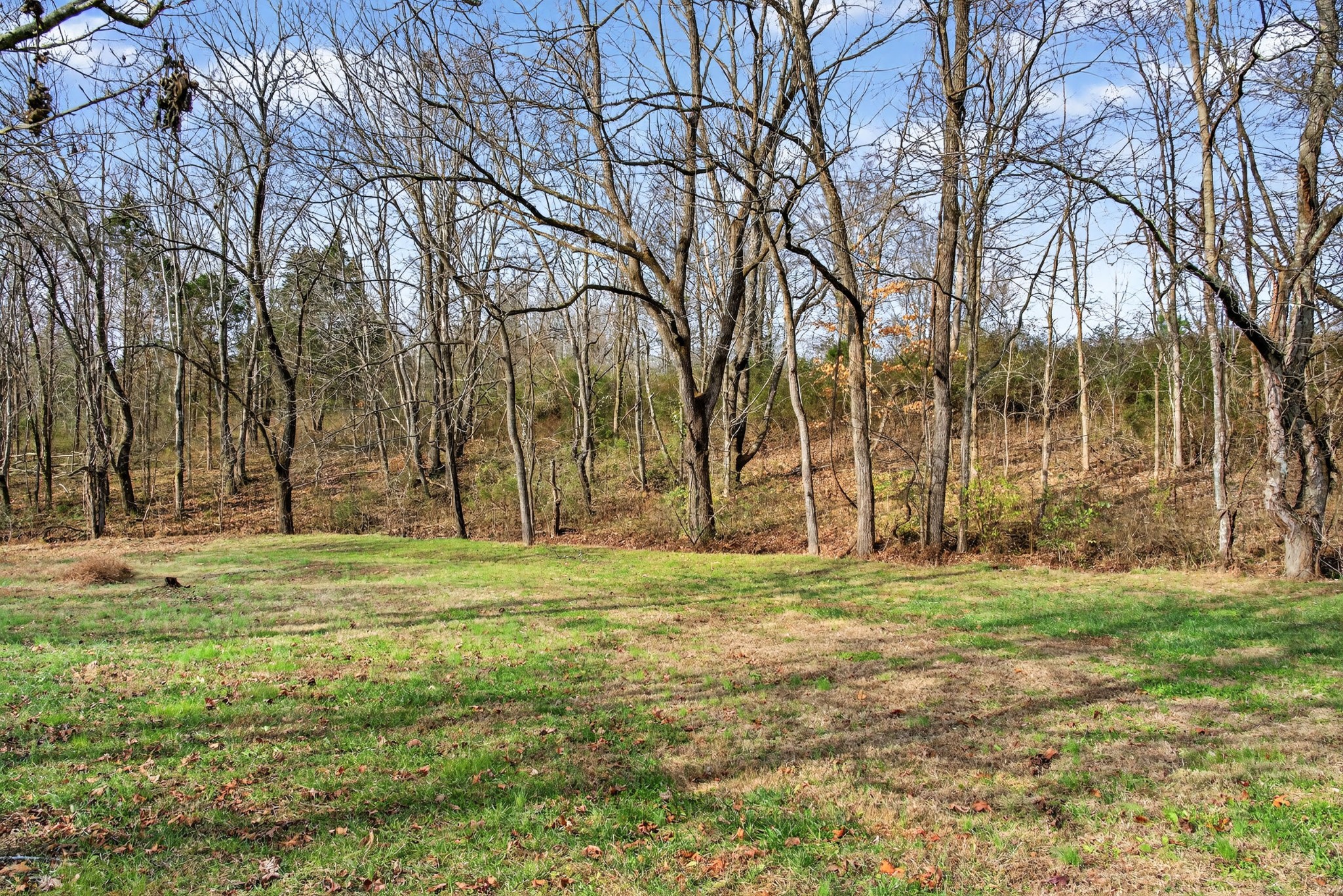 6716 Old Highway 431 Springfield, TN 37172 - Photo 49 of 58 a big yard with trees