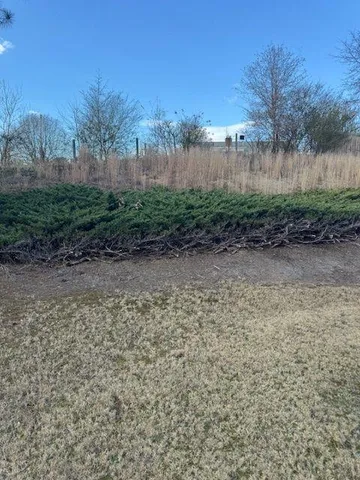 a view of a yard with a house