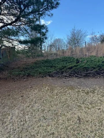 a view of a yard with a tree