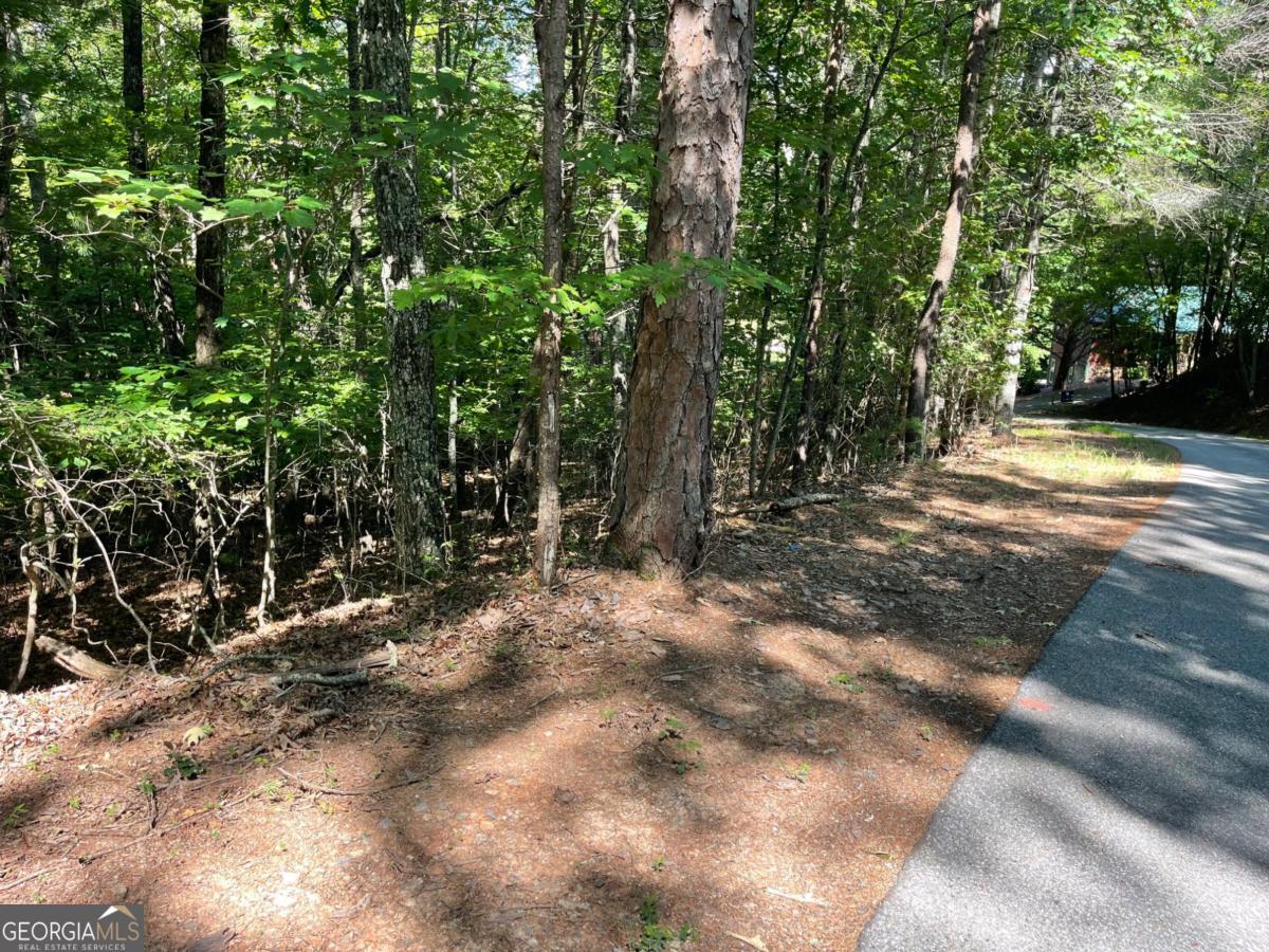 0 Rizzitello Lane, Unit 5 Blairsville, GA 30512 - Photo 2 of 4