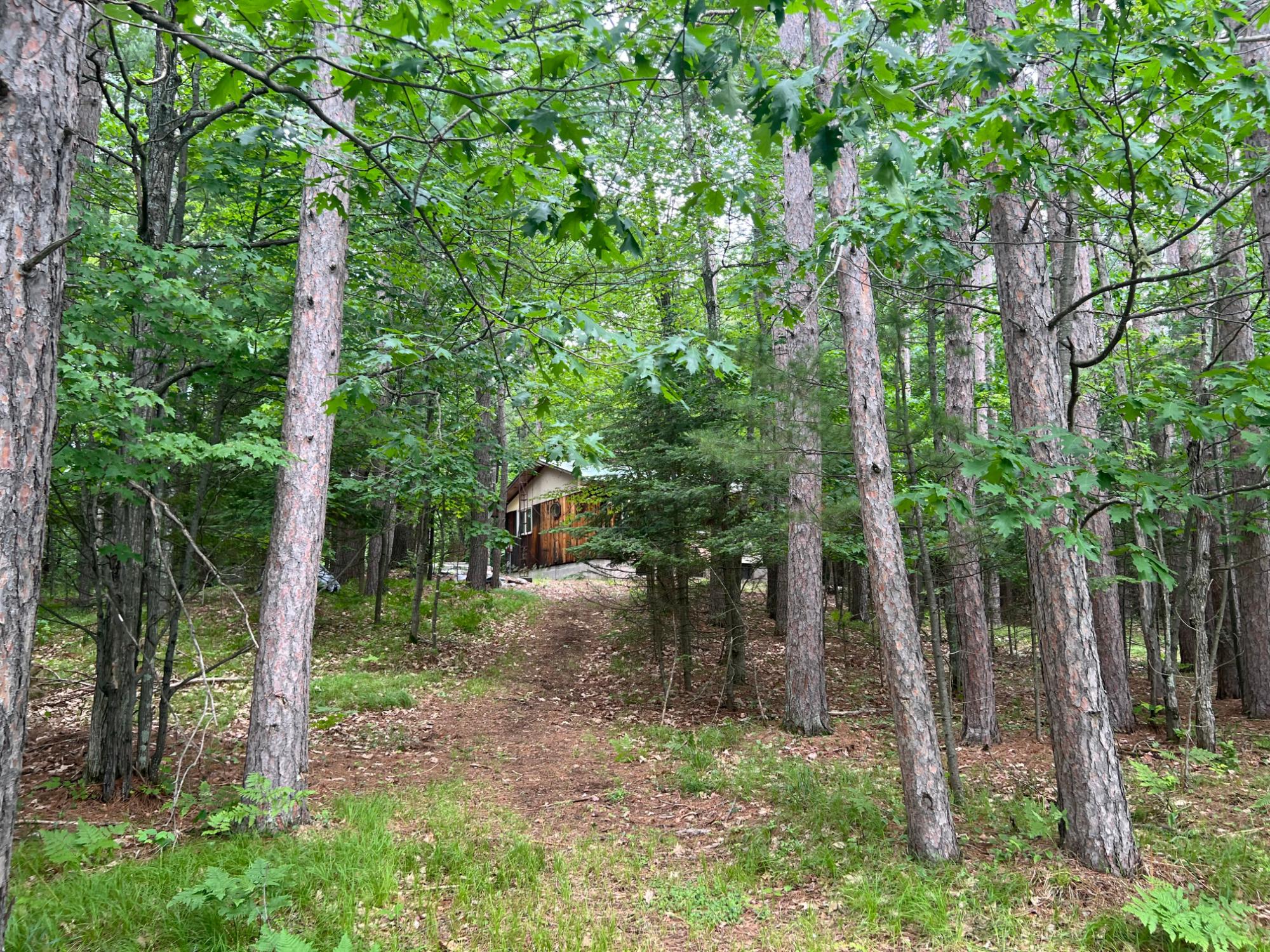 2645 Manuel Lake Road Phelps, WI 54554 - Photo 3 of 14 Gallery Image 3