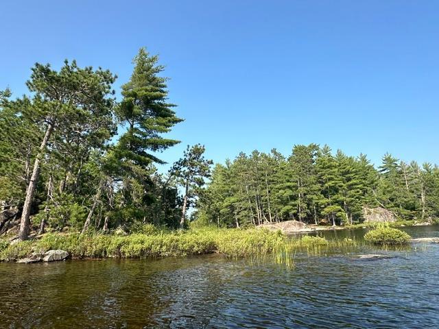 2889 Waters Ely, MN 55731 - Photo 20 of 22