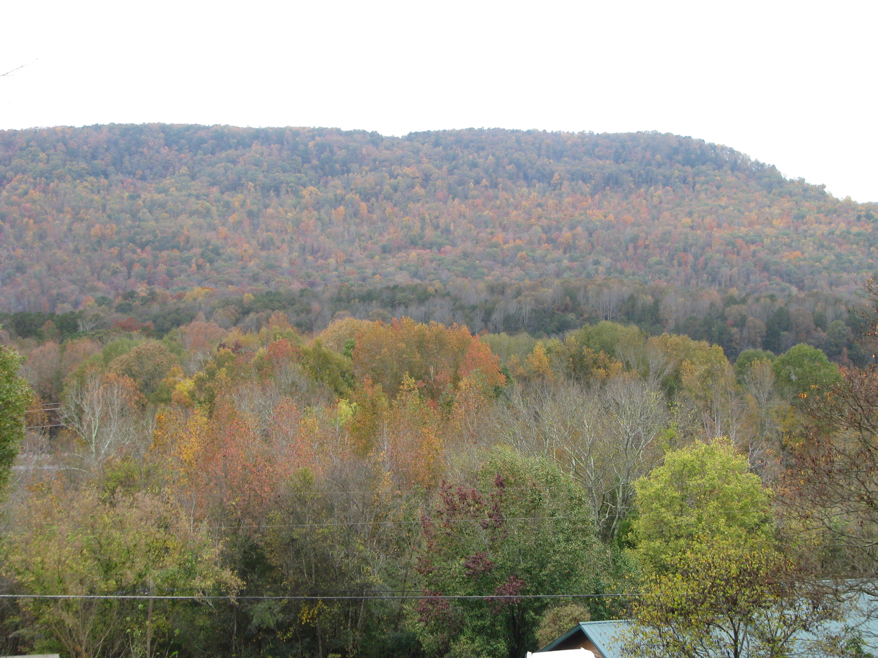 1254 Francis Spring Road Jasper, TN 37347 - Photo 11 of 11 1254 Francis Springs Rd 050