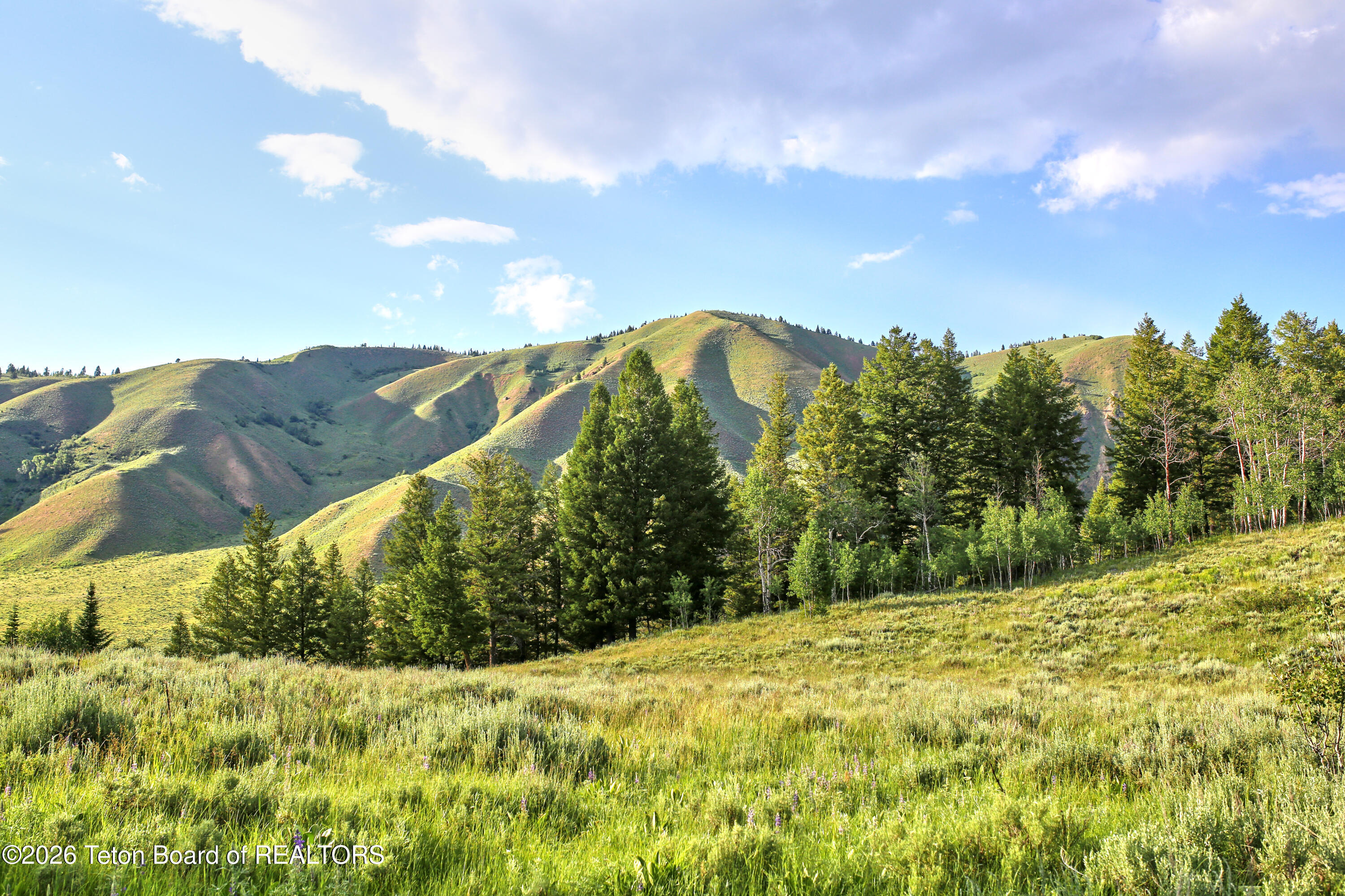865 Elk Ridge Road Jackson, WY 83001 - Photo 1 of 20 Views of Munger Mountain