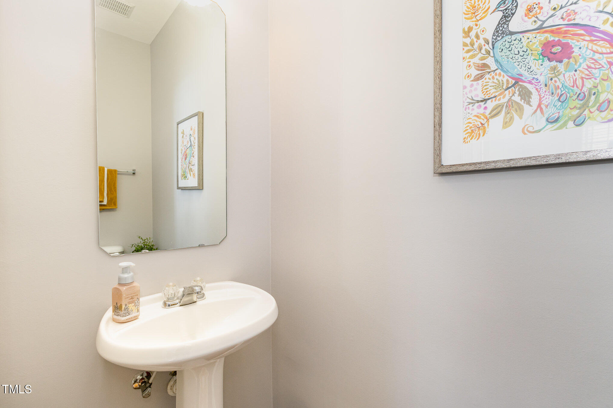 7621 Satinwing Lane Raleigh, NC 27617 - Photo 23 of 23 a bathroom with a sink and a mirror