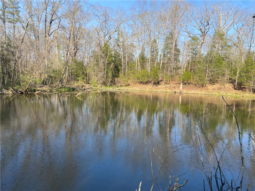 0 Abercrombie Road Honea Path, SC 29654 - Photo 10 of 18 A tranquil pond reflecting the surrounding forest creates a serene natural escape.