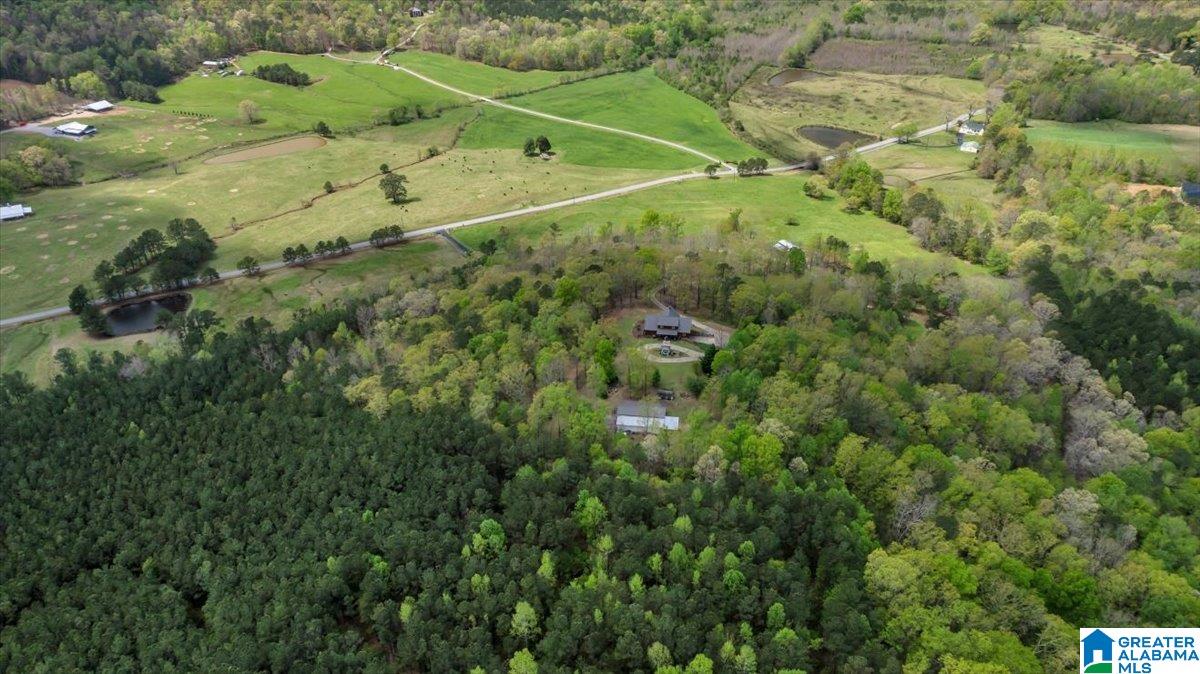 515 Robbins Branch Road Altoona, AL 35952 - Photo 52 of 53