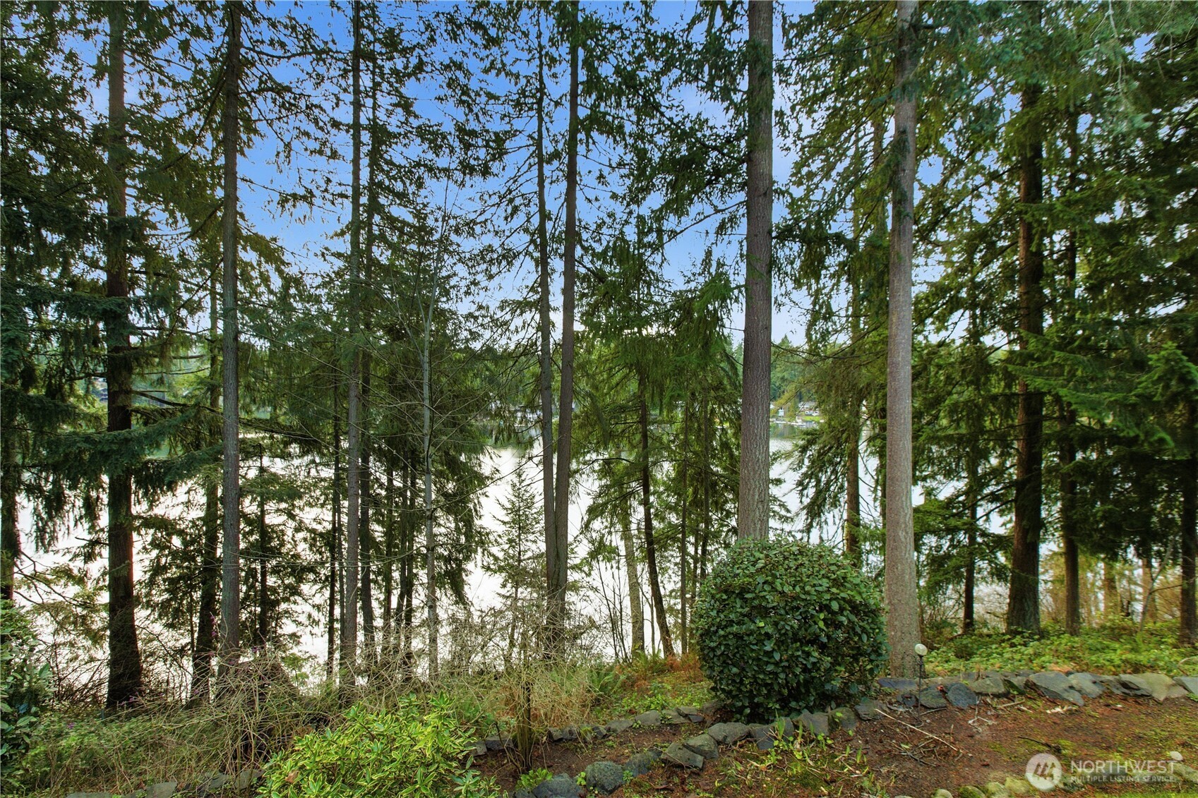 25305 Southeast 232nd Street Maple Valley, WA 98038 - Photo 15 of 33 a picture of trees