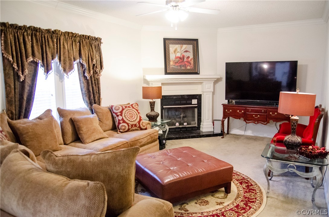 2861 Gold Mine Road Palmyra, VA 22963 - Photo 15 of 32 a living room with furniture a flat screen tv and a fireplace