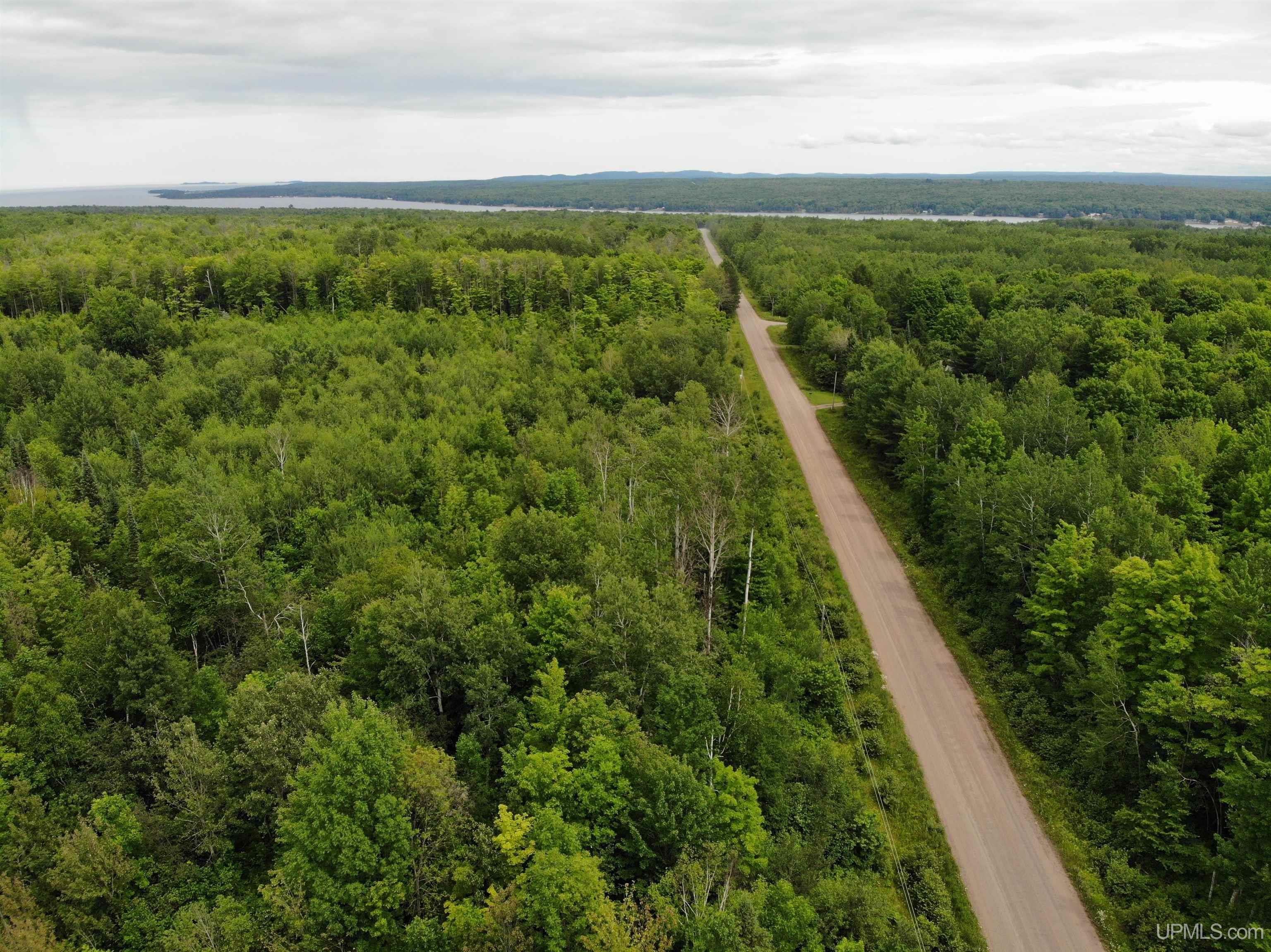 Tbd40 Karschney Road South Lanse, MI 49946 - Photo 9 of 18 Gallery Image 9