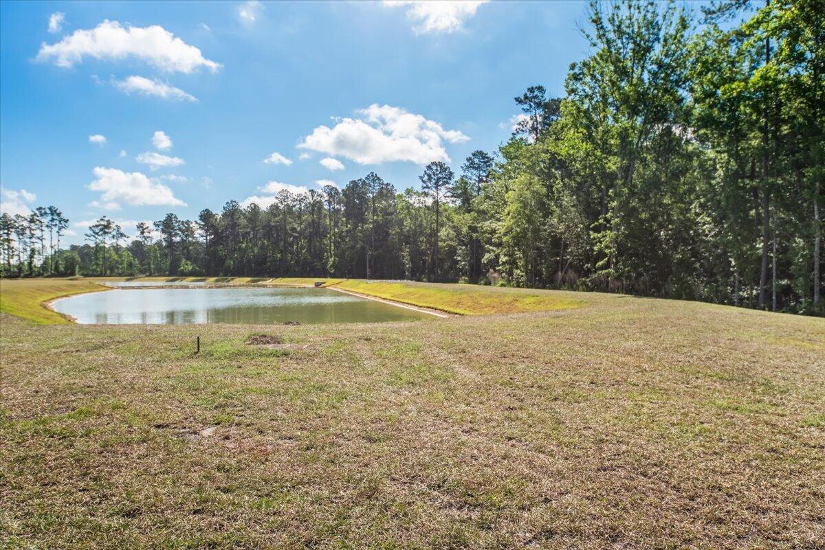 277 Ivory Shadow Road Summerville, SC 29486 - Photo 27 of 40 27-DKM5859