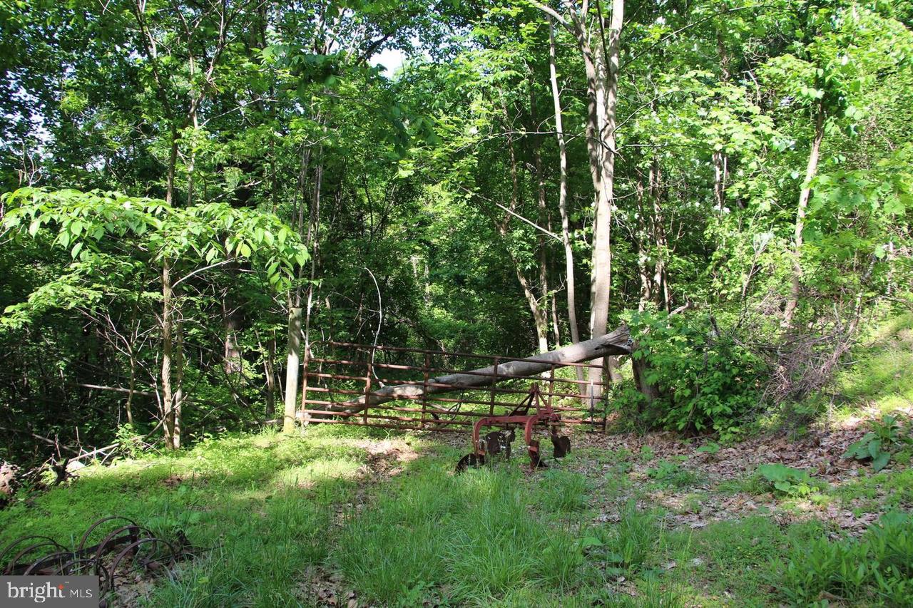 897 Helms Road Stanley, VA 22851 - Photo 45 of 60