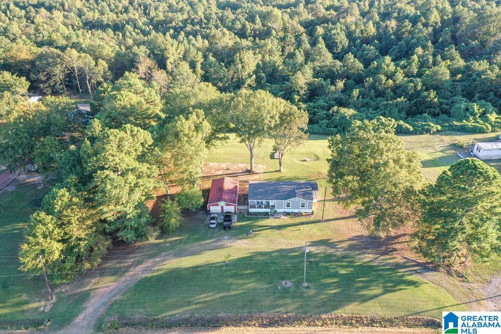 34148 Highway 69 Jasper, AL 35504 - Photo 29 of 38