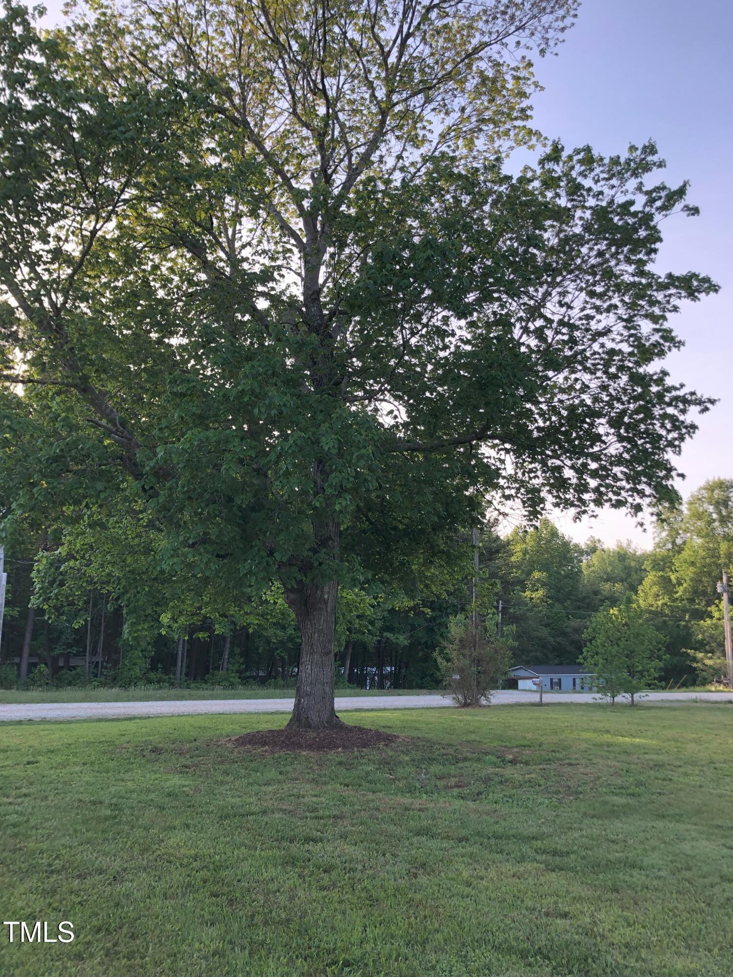 550 Saplin Branch Road Timberlake, NC 27583 - Photo 29 of 33 a big yard with lots of green space and trees