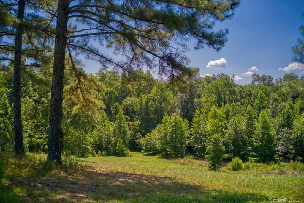 6074 Hunting Country Road Tryon, NC 28782 - Photo 10 of 34 a view of a yard with a tree