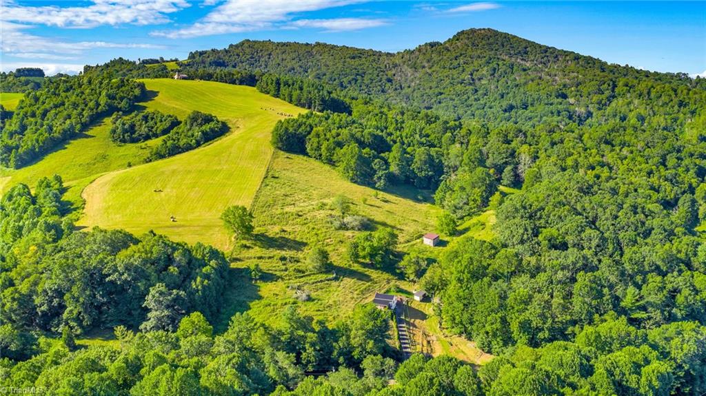 922 Prathers Creek Ch Road Laurel Springs, NC 28644 - Photo 4 of 35