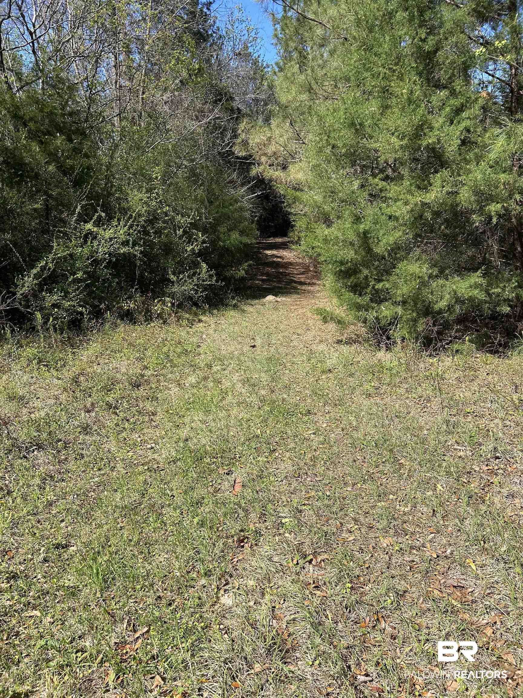 0 Fleming Lane Brewton, AL 36426 - Photo 6 of 18 View of nature