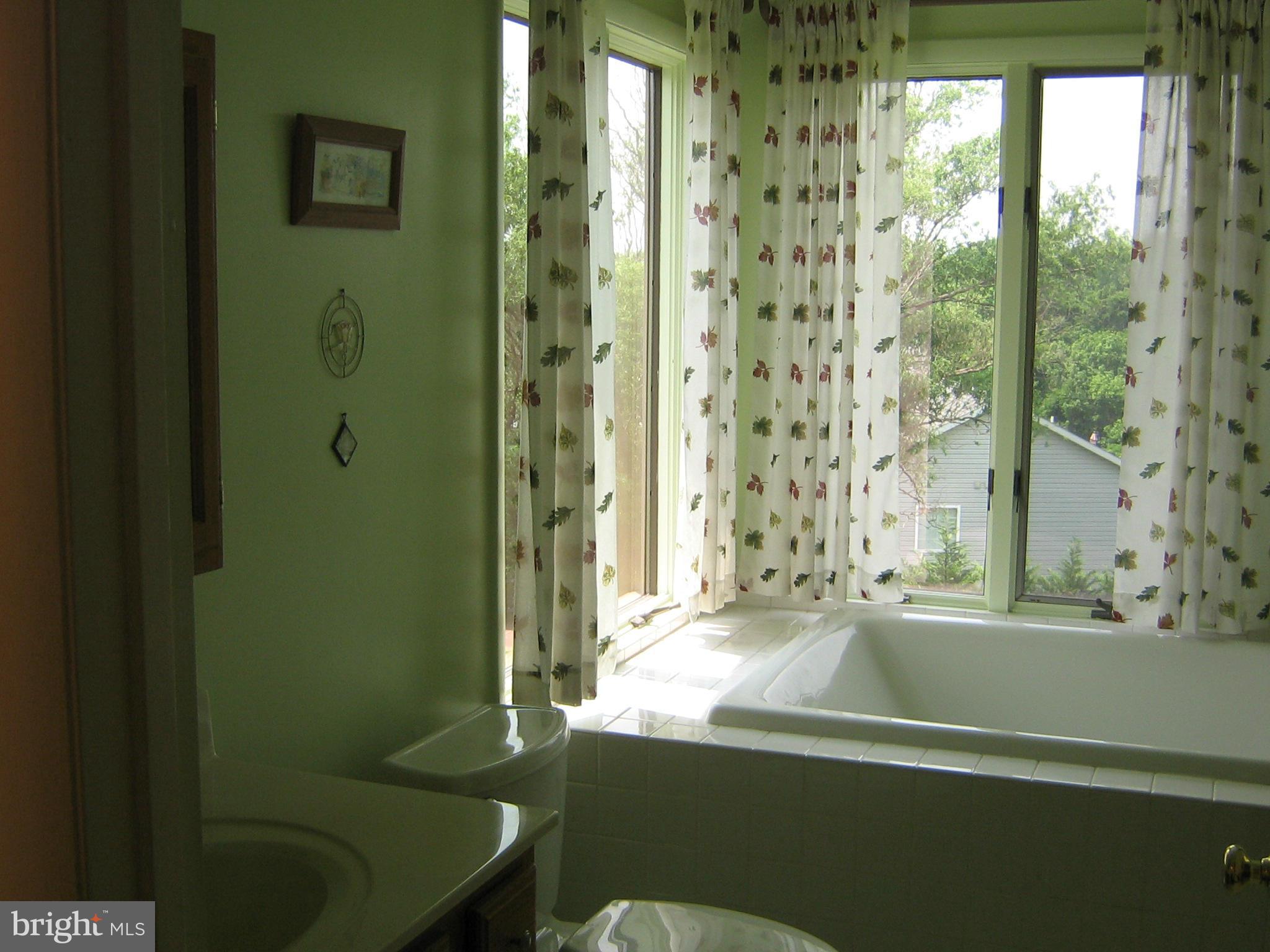2525 Lander Road Jefferson, MD 21755 - Photo 17 of 30 Bath (Master)