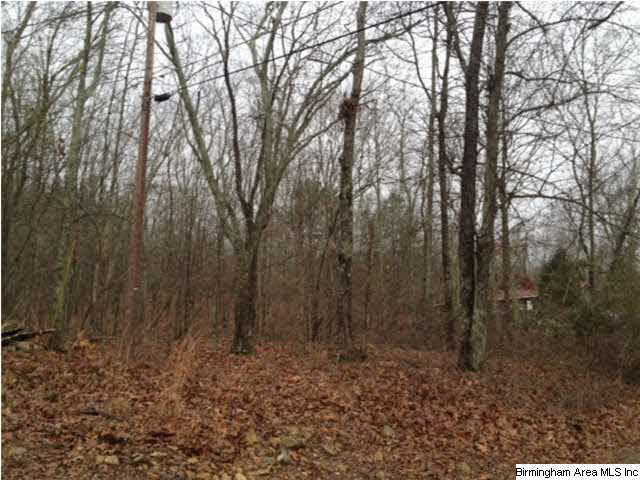 Gaines Street, Unit 80 Anniston, AL 36201 - Photo 3 of 20