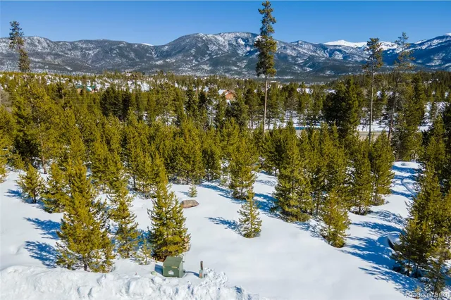 a view of a bunch of trees