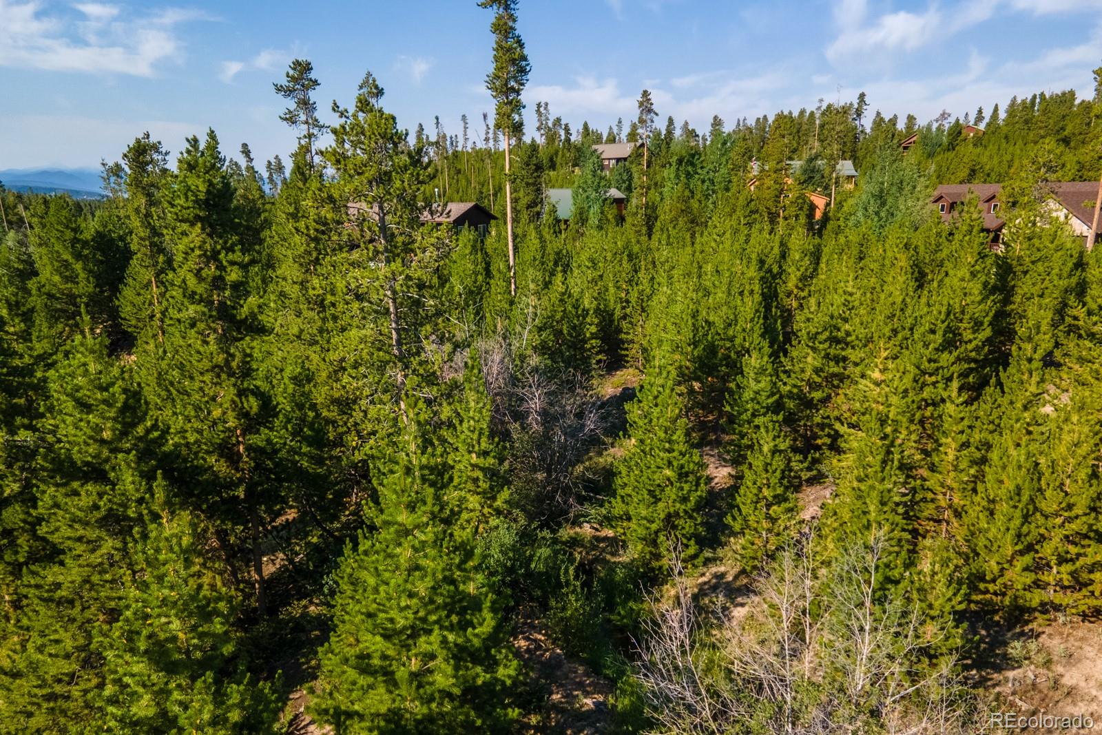 493 Trail Ridge Drive Grand Lake, CO 80447 - Photo 5 of 7 a view of a bunch of trees