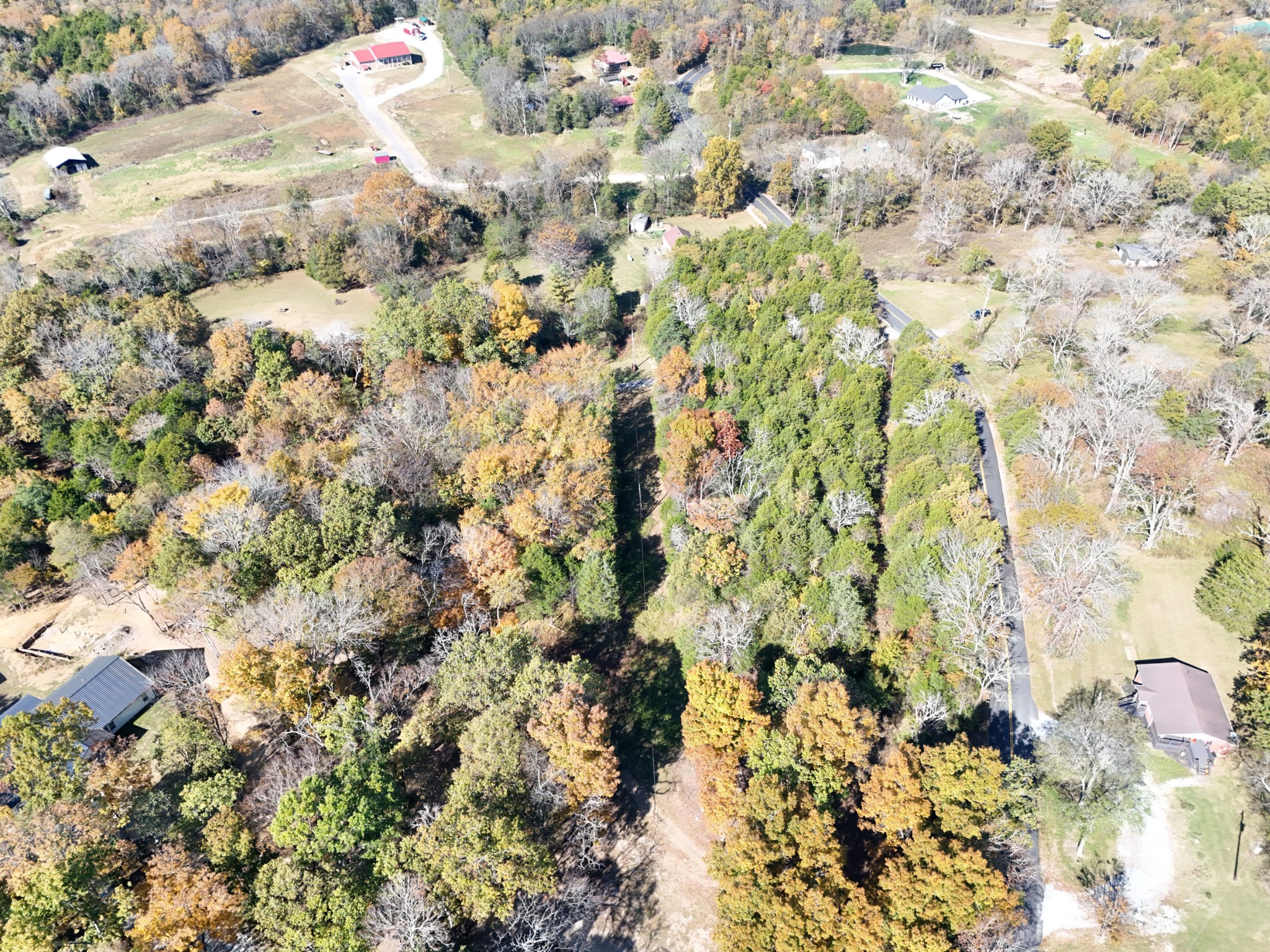 516 Chipman Road Bethpage, TN 37022 - Photo 6 of 6