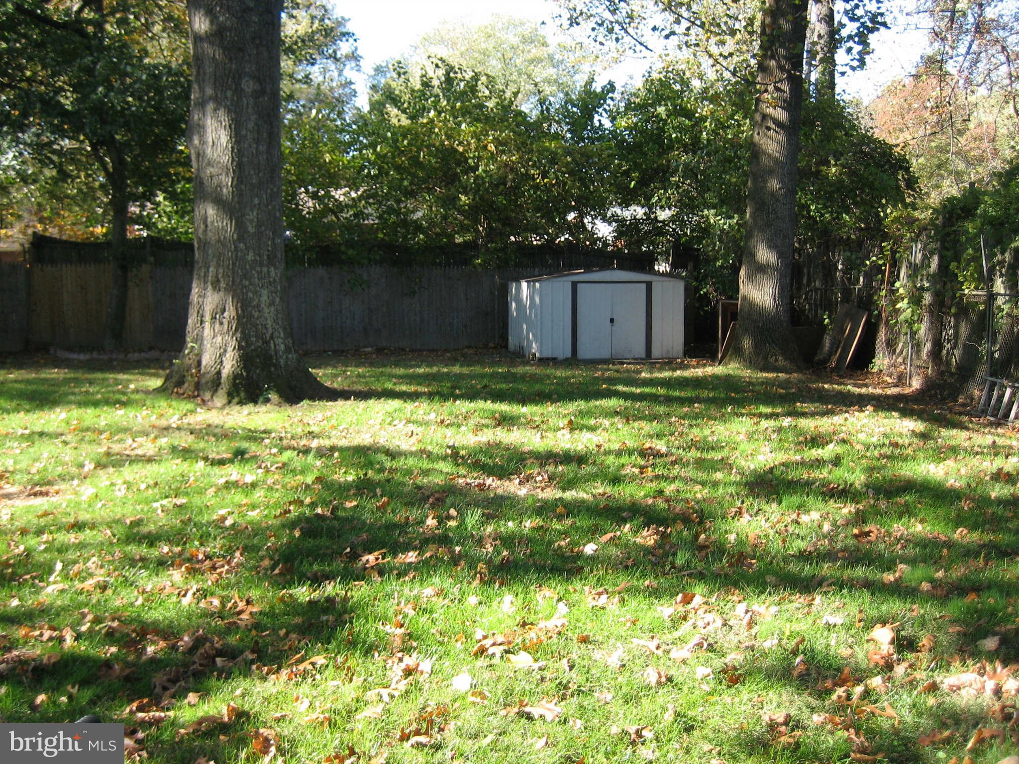 1907 Ladd Street Silver Spring, MD 20902 - Photo 23 of 25 Back Yard
