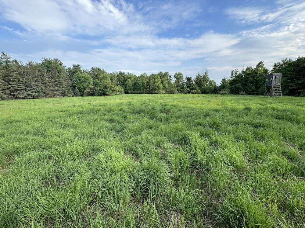 5857 Mogg Road Whittemore, MI 48770 - Photo 101 of 127 IMG_2735