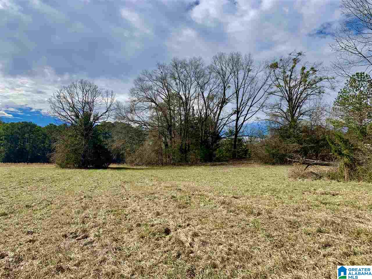 0 County Road 16 Calera, AL 35040 - Photo 8 of 22
