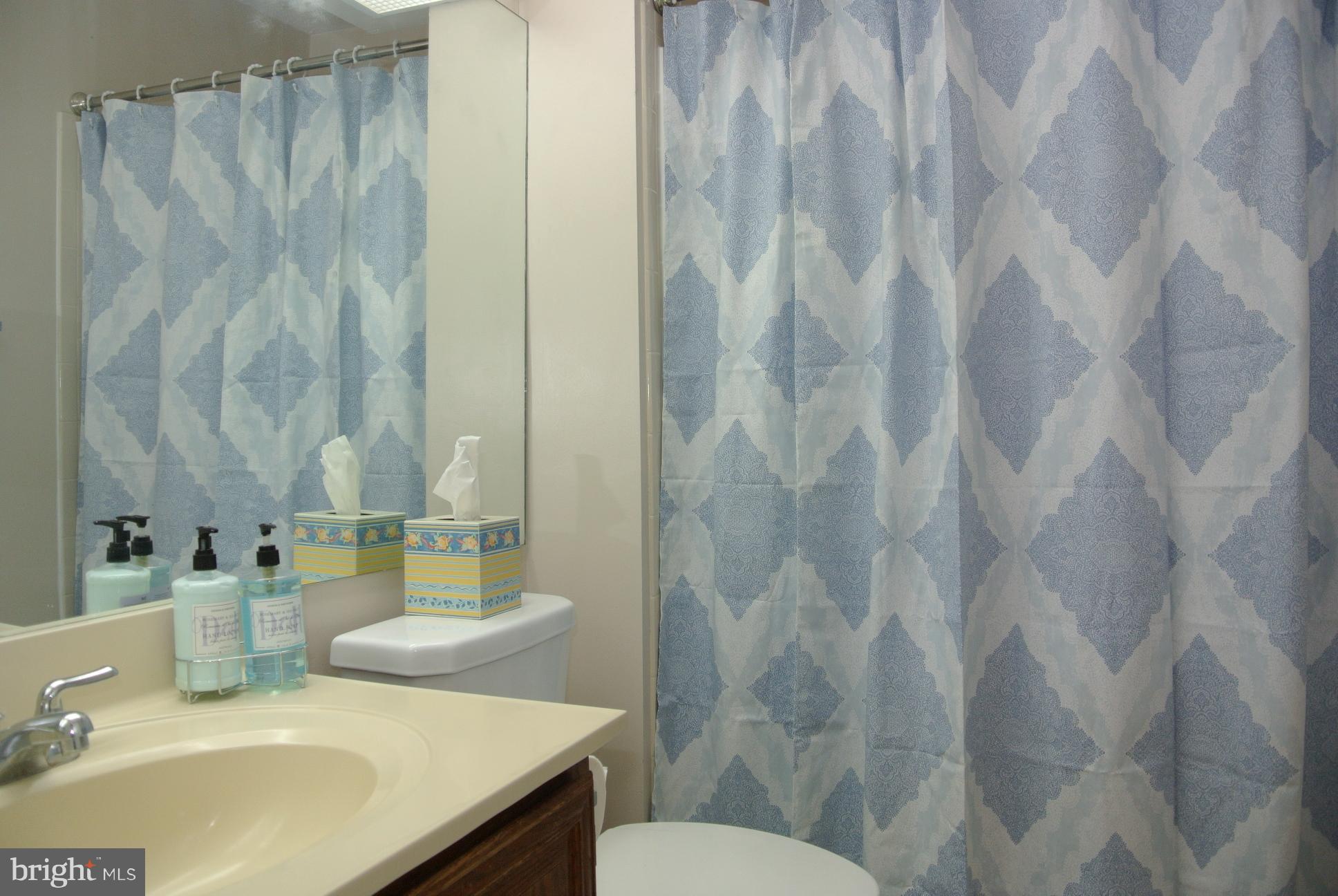 8732 Silver Hall Road Perry Hall, MD 21128 - Photo 15 of 30 Bath (Master)