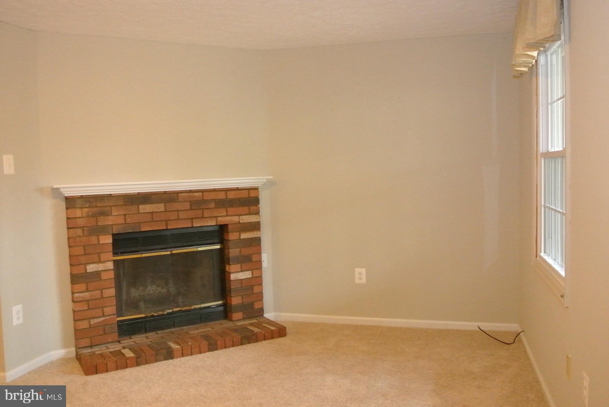 8732 Silver Hall Road Perry Hall, MD 21128 - Photo 22 of 30 Lower Level Family Room w/ fireplace