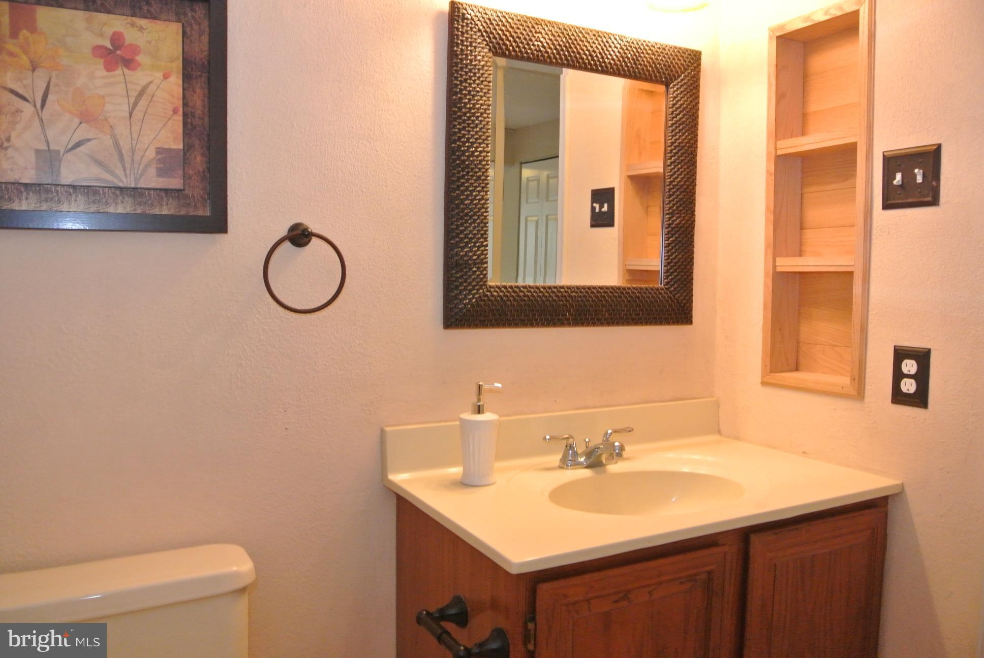 8732 Silver Hall Road Perry Hall, MD 21128 - Photo 24 of 30 THIRD full bath... in lower level