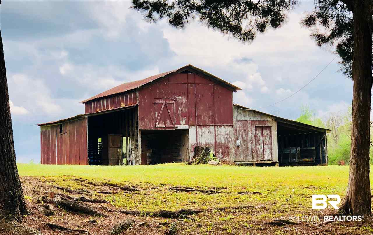1526 J P Howard Road Evergreen, AL 36401 - Photo 6 of 7