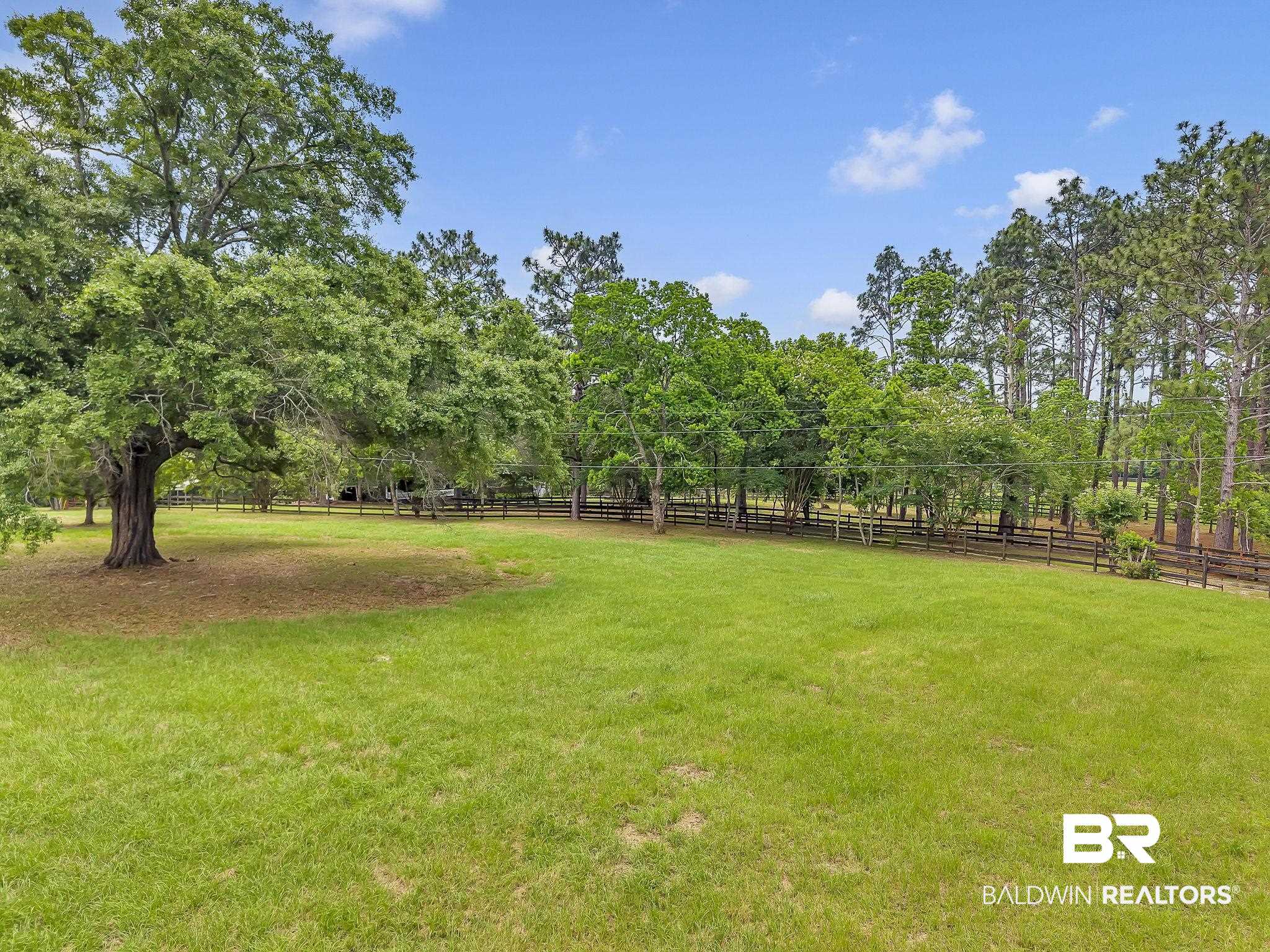 18626-1 Moore Road Andalusia, AL 36420 - Photo 17 of 17 View of yard
