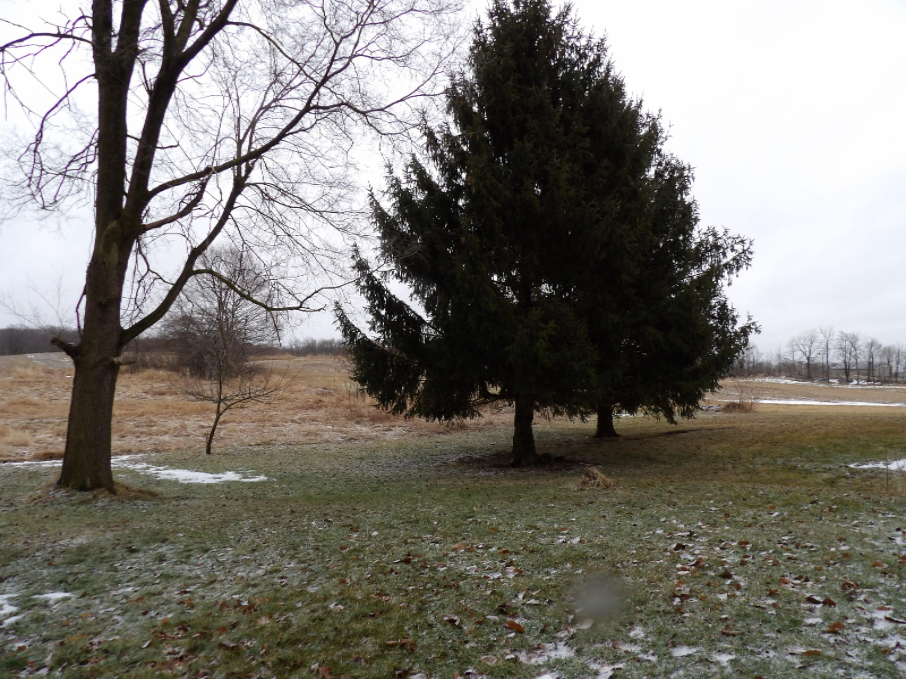 5551 Combs Road North Adams, MI 49262 - Photo 8 of 10 100_0091
