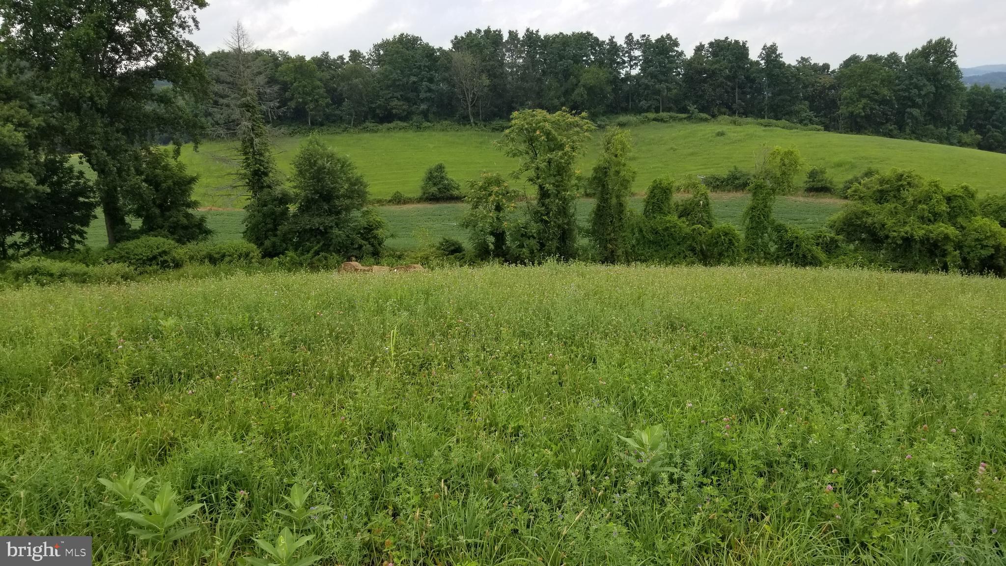 5531 Oley Turnpike Road Reading, PA 19606 - Photo 35 of 35