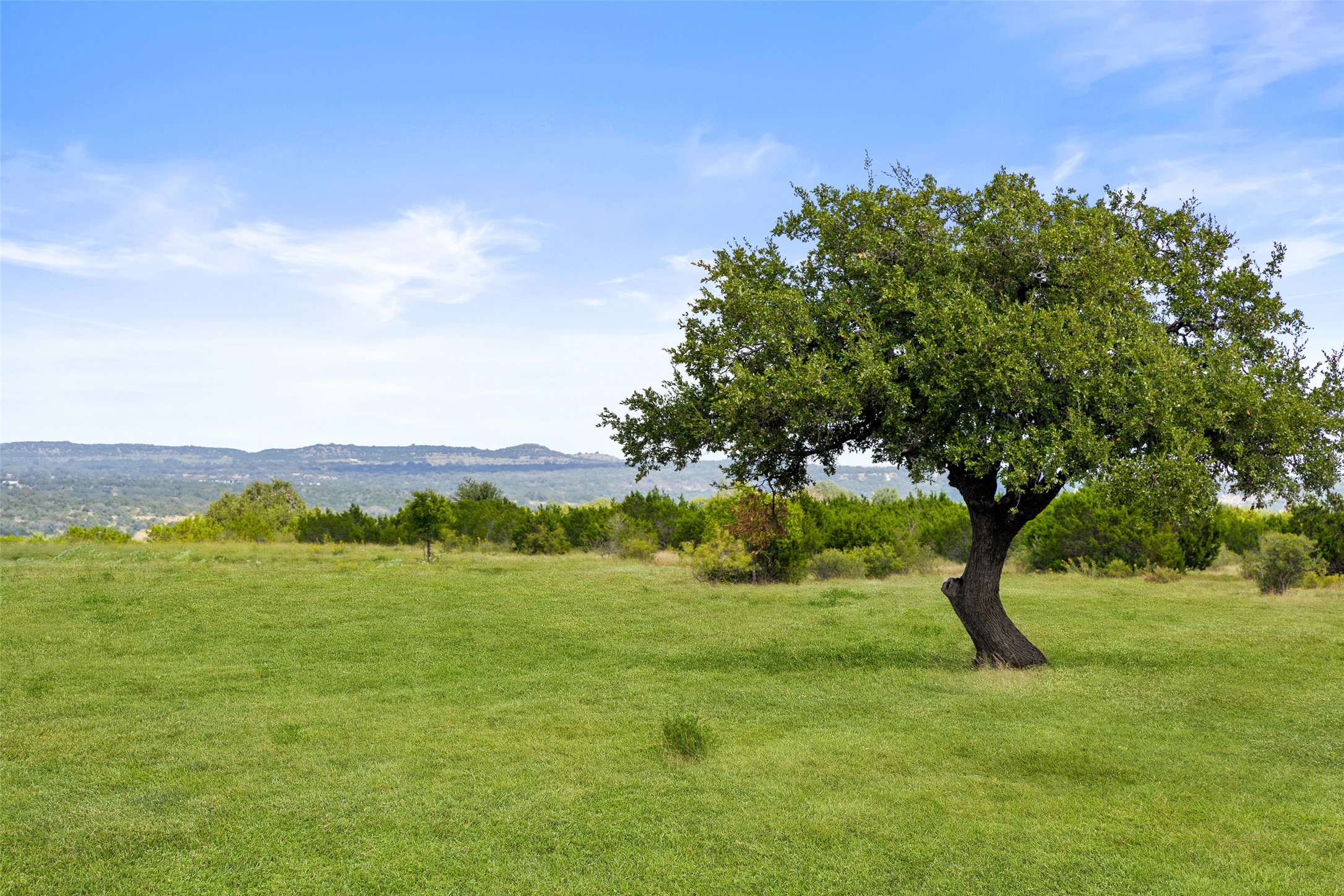 960 Gibson Road Johnson City, TX 78636 - Photo 7 of 19 A verdant field with an established tree, offering far-reaching scenic hill country vistas.