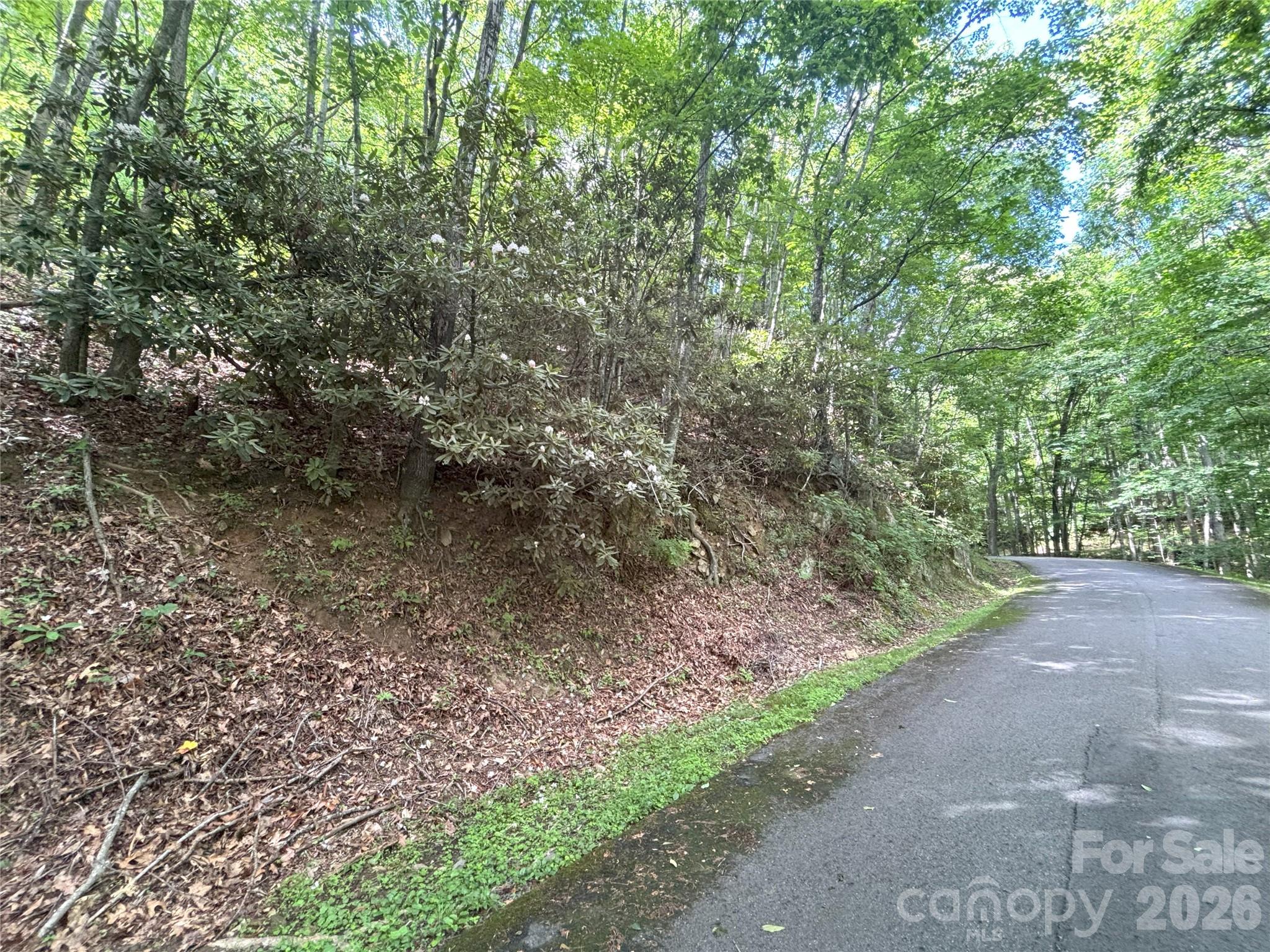 0 Valley View Drive, Unit 14 Maggie Valley, NC 28751 - Photo 2 of 7 a view of a yard with a tree