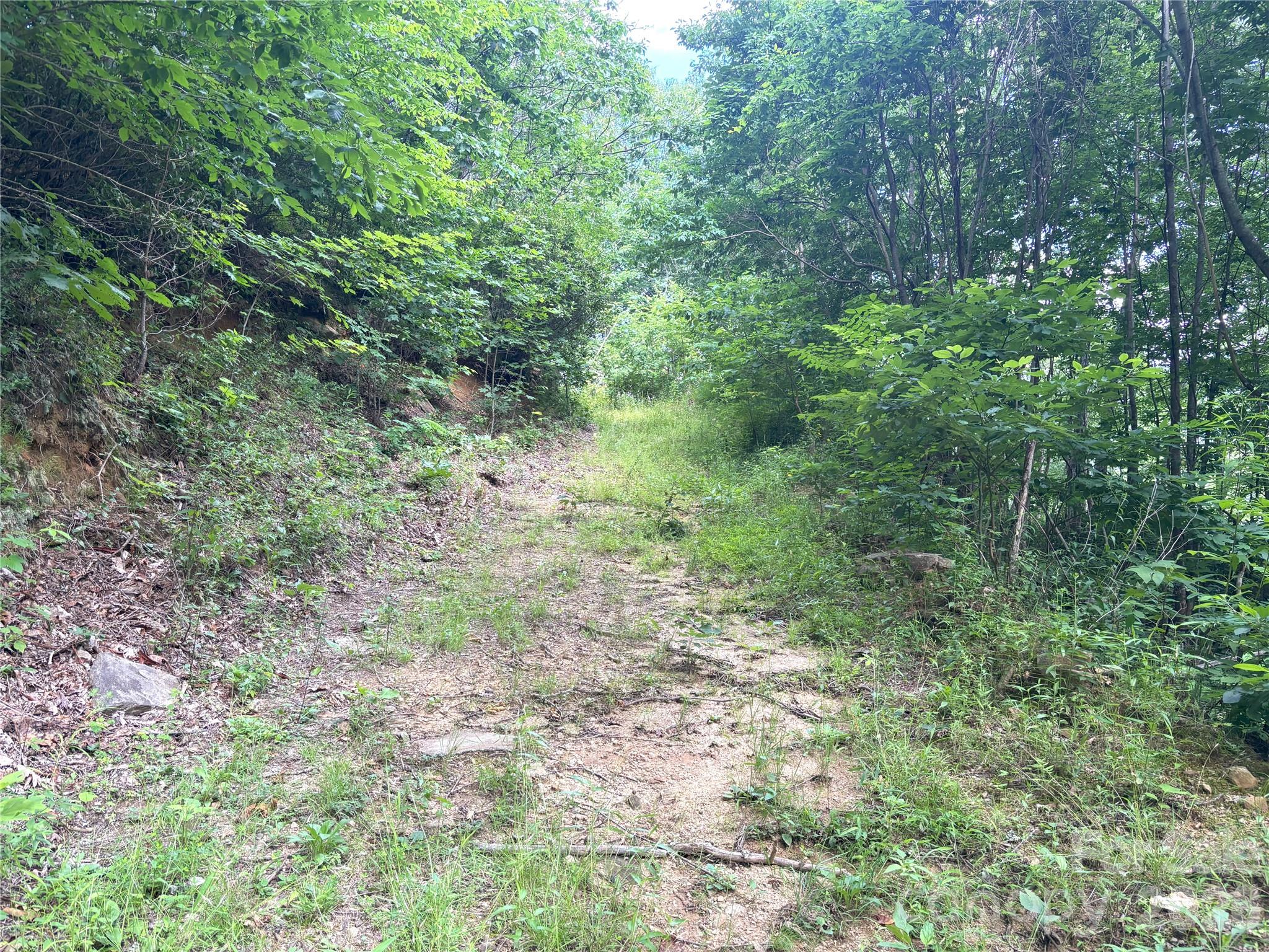 0 Valley View Drive, Unit 14 Maggie Valley, NC 28751 - Photo 4 of 7 a view of a lush green forest