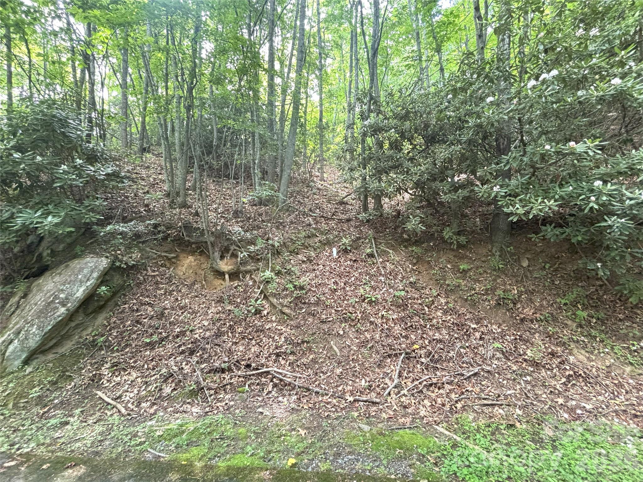 0 Valley View Drive, Unit 14 Maggie Valley, NC 28751 - Photo 5 of 7 a view of a yard with plants and trees