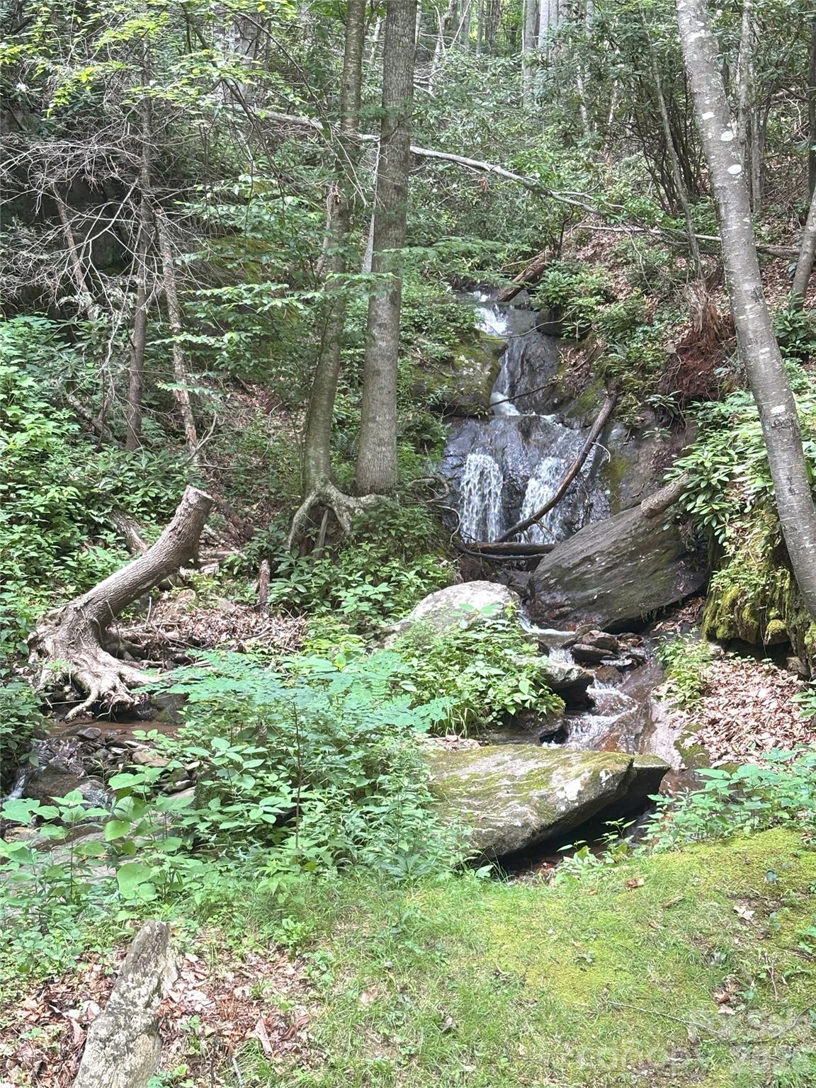 0 Valley View Drive, Unit 14 Maggie Valley, NC 28751 - Photo 7 of 7 a view of a garden with a bench