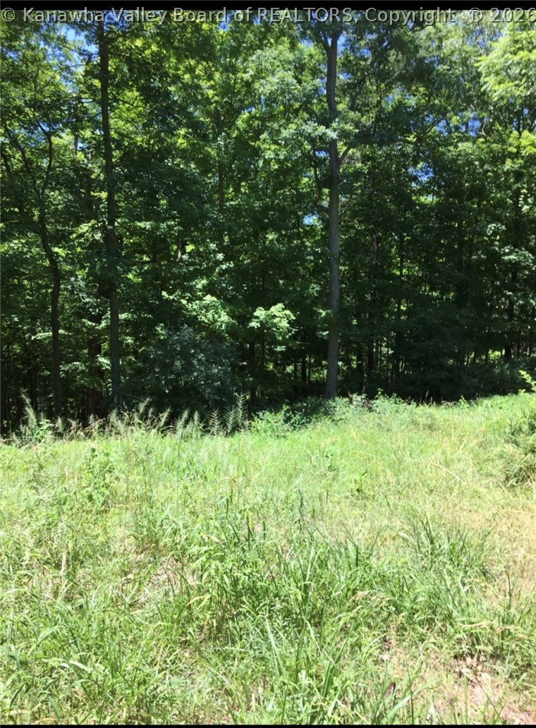 144 Sigman Road Poca, WV 25159 - Photo 39 of 50 Gallery Image 39